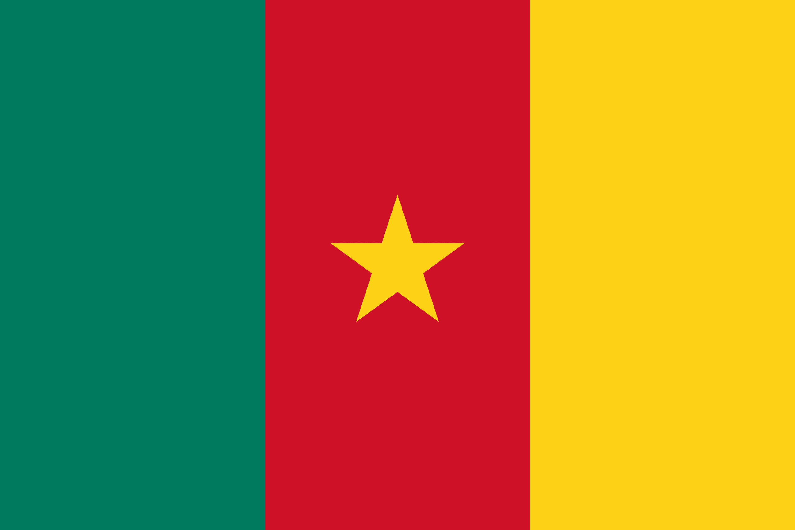 Cameroon flag