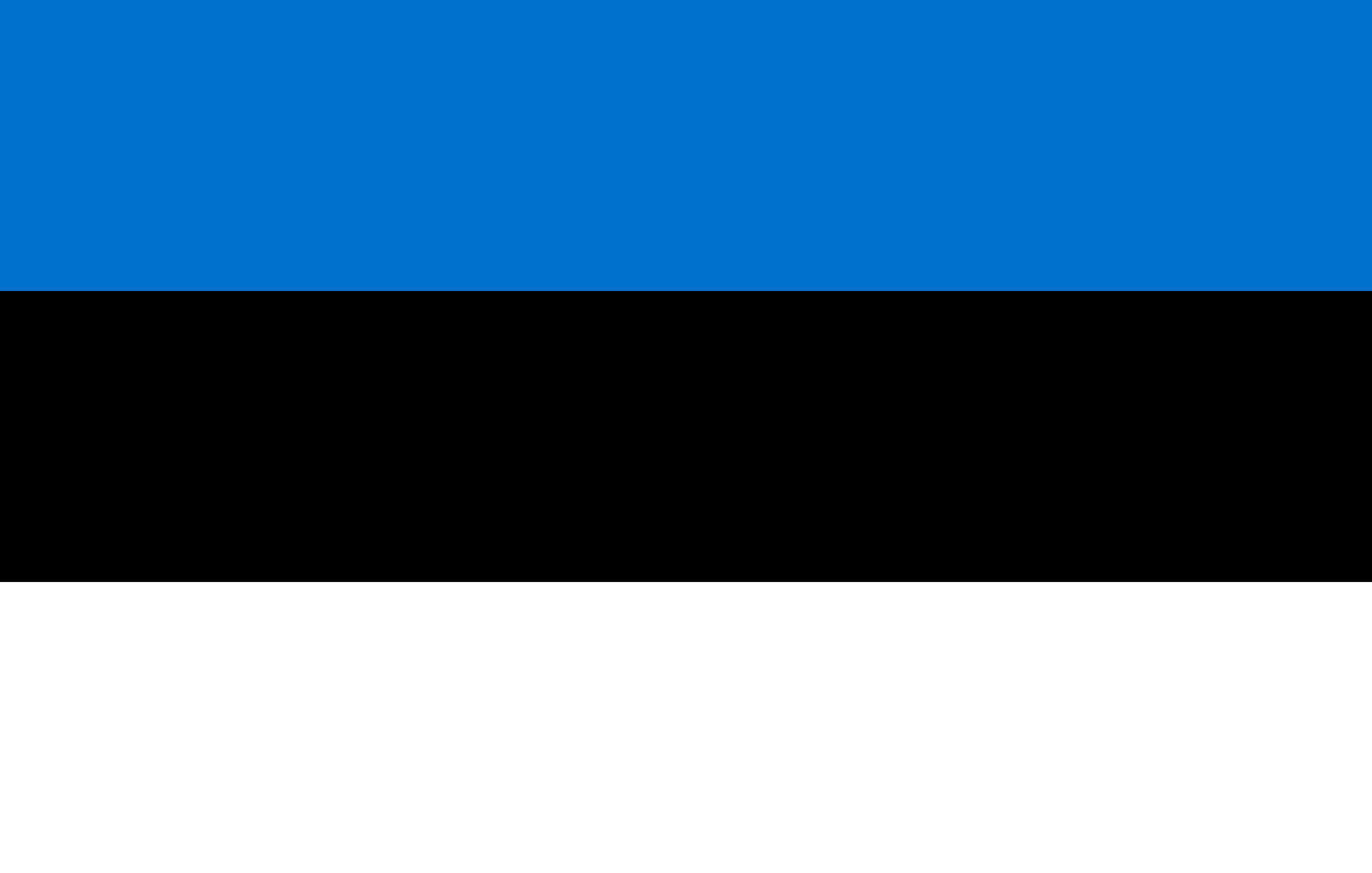Estonia Visa Requirements for South Africans