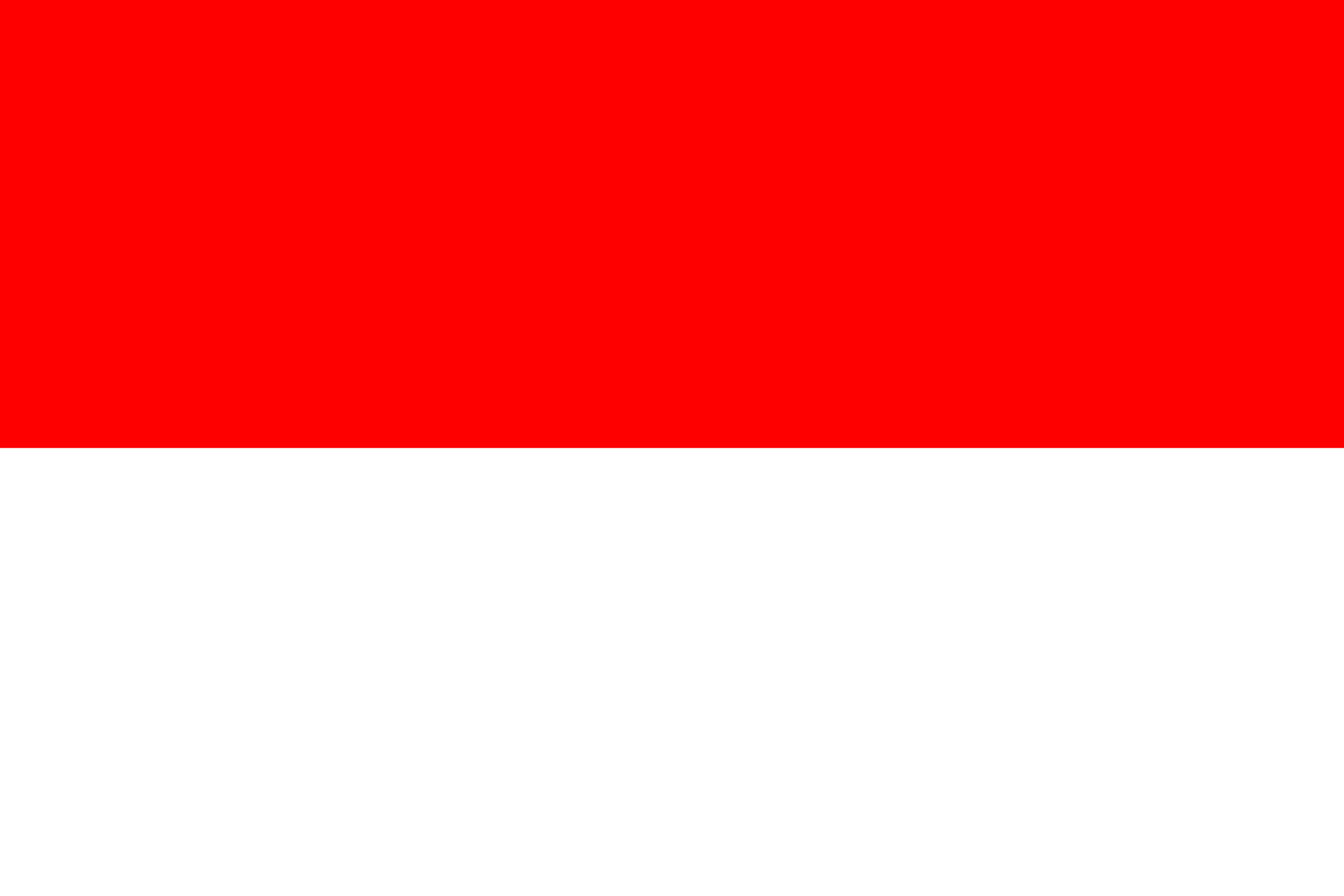 Indonesia Visa Requirements for South Africans