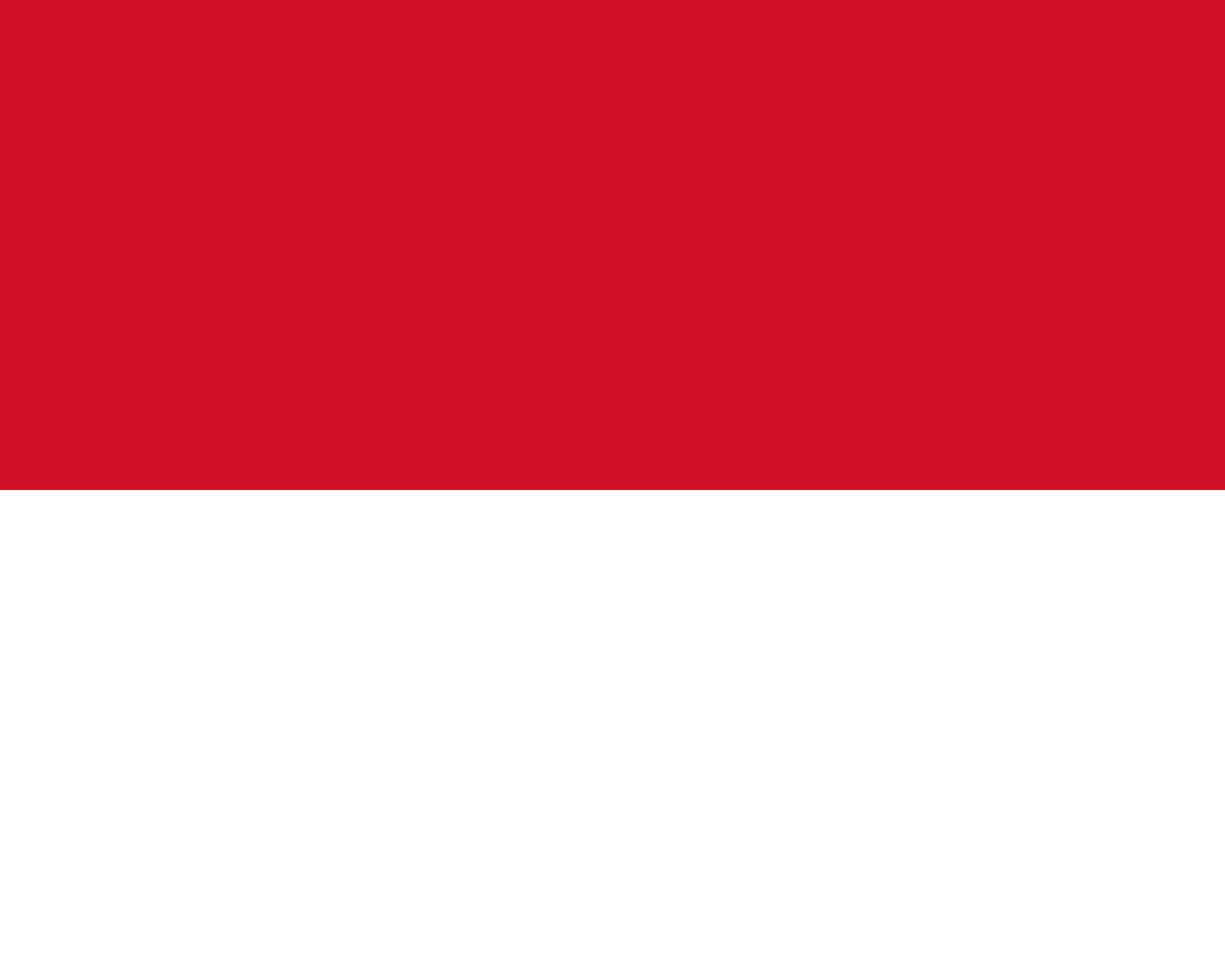 Monaco Visa Requirements for South Africans