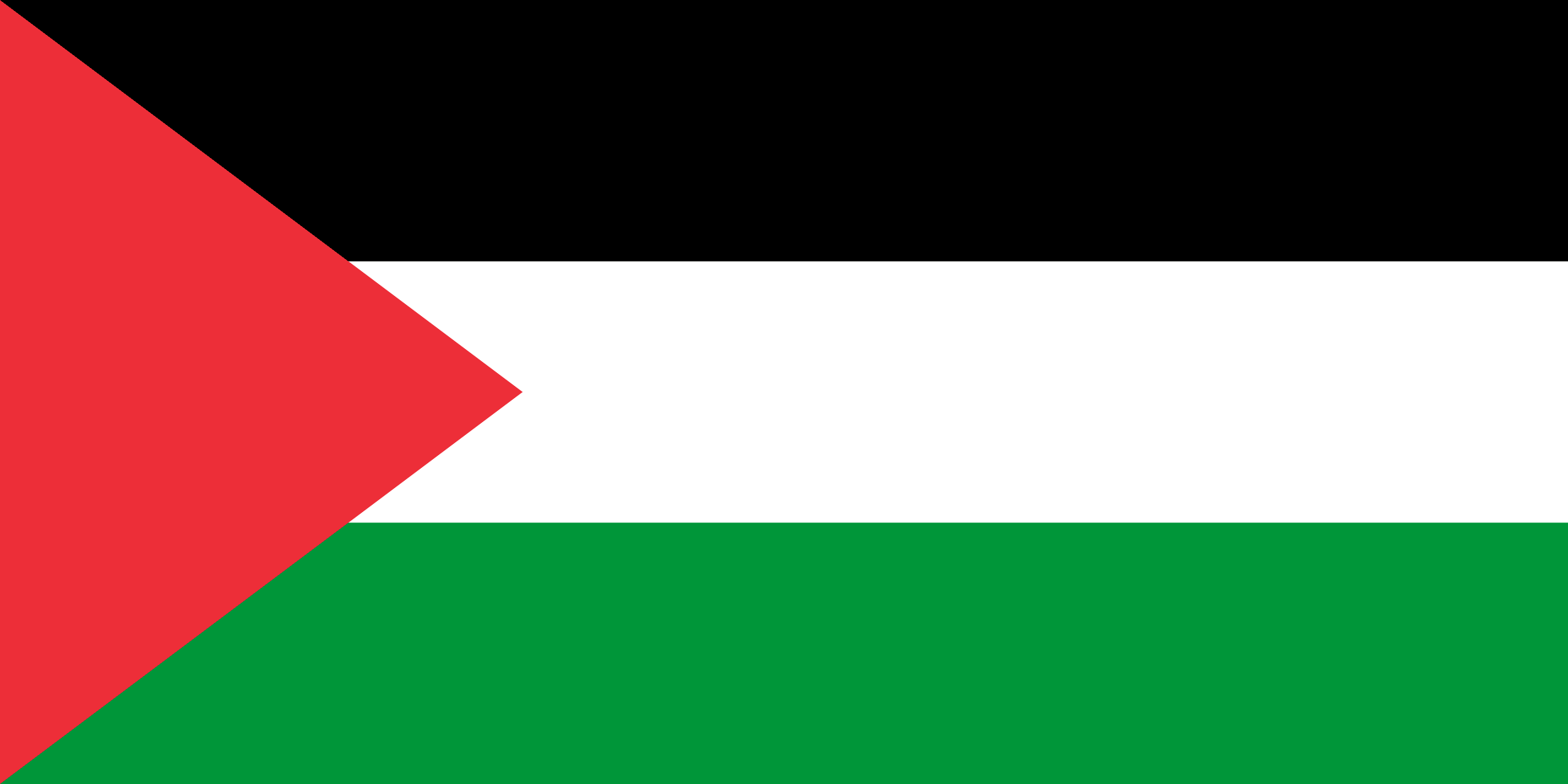 Palestine Visa Requirements for South Africans